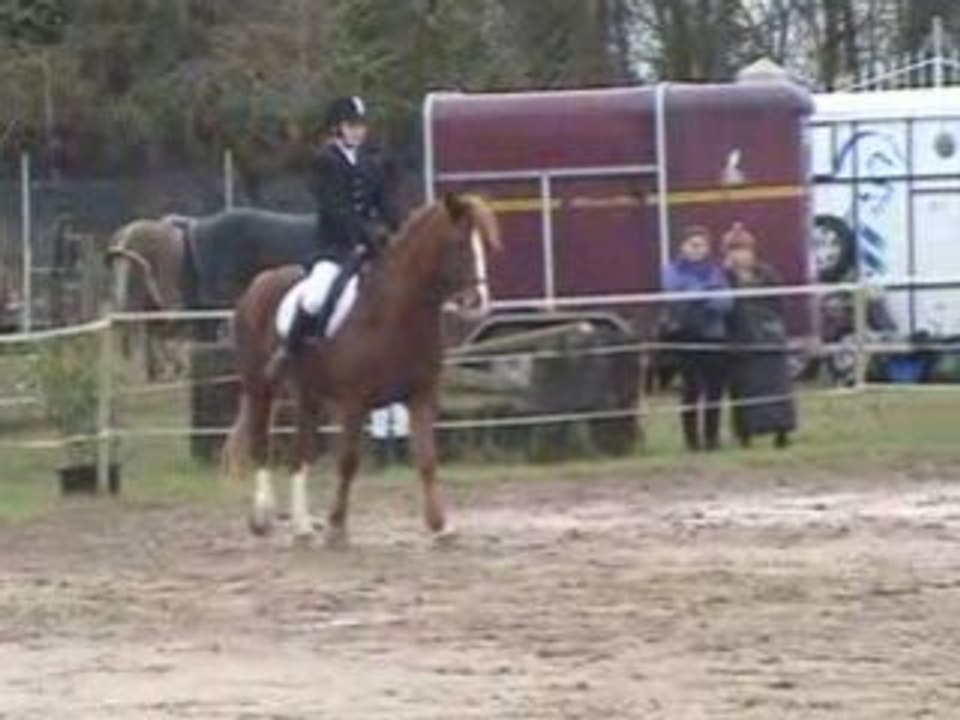 Concours dressage 25/01/2009