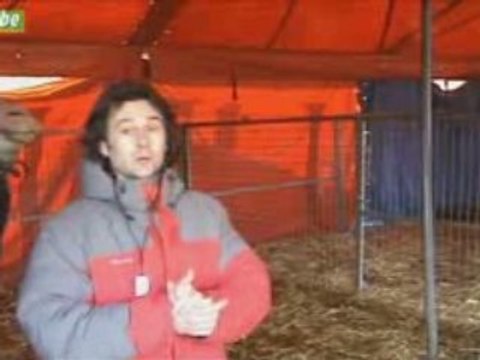 Moscow star circus à Antoing