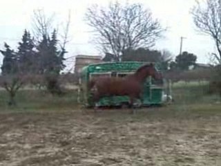 loulou et nel qui font les cons