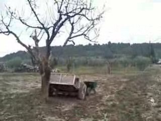 mon loulou qui veut jouer