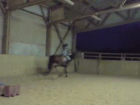 Séance de saut d'obstacles 28/01/09 (au valembert)