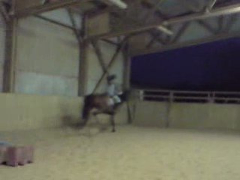 Séance de saut d'obstacles 28/01/09 (au valembert)