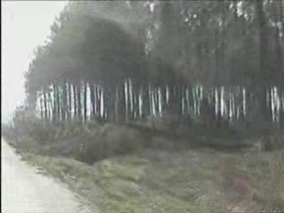 TEMPETE 2009 - Le littoral landais apres le passage de KLAUS