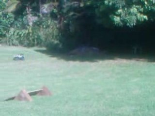 tamiya HL high lift RC