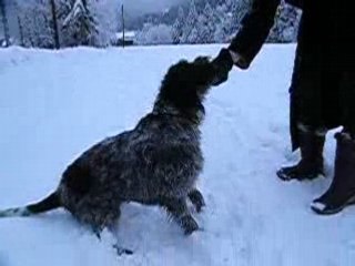 Après les chaussettes...Les gants !
