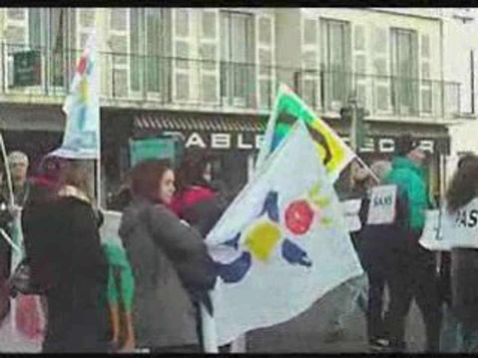 2009 01 29 manifestation mont de marsan