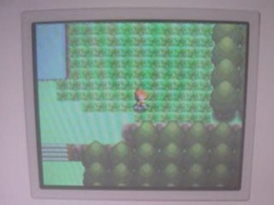 Shaymin sans AR Tweaking Trick pokemon perle