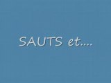 Sauts