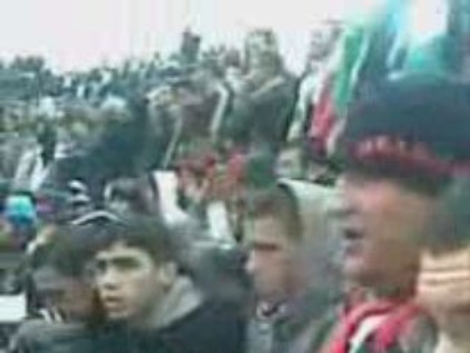 mca-crb a tizi c.d'algerie 2 (ultras verde leone)