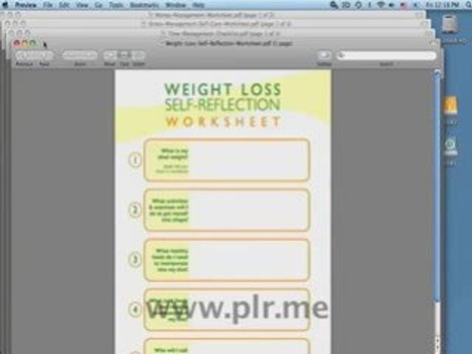 How to Use PLR Content Worksheets and PDFs