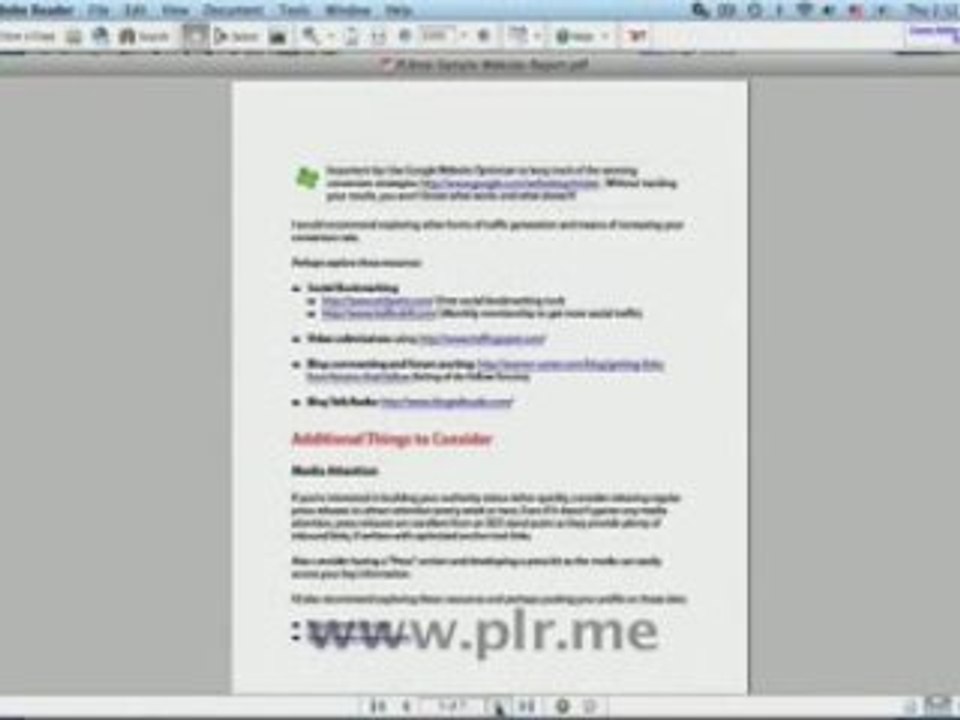 Professional Review Of Your Website at PLR.me