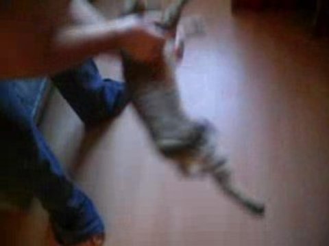 Elyna rit aux éclats