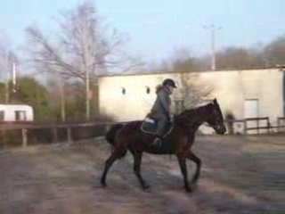 New au galop a gauche