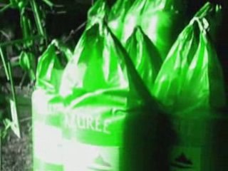 Dragonfly - Partie 4