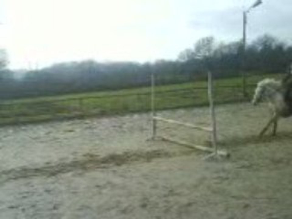 Jump 60cm et 90cm