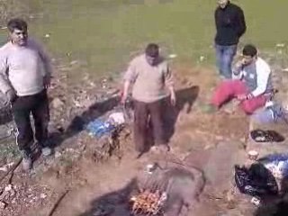 KÜREKLE MANGAL SEFASI