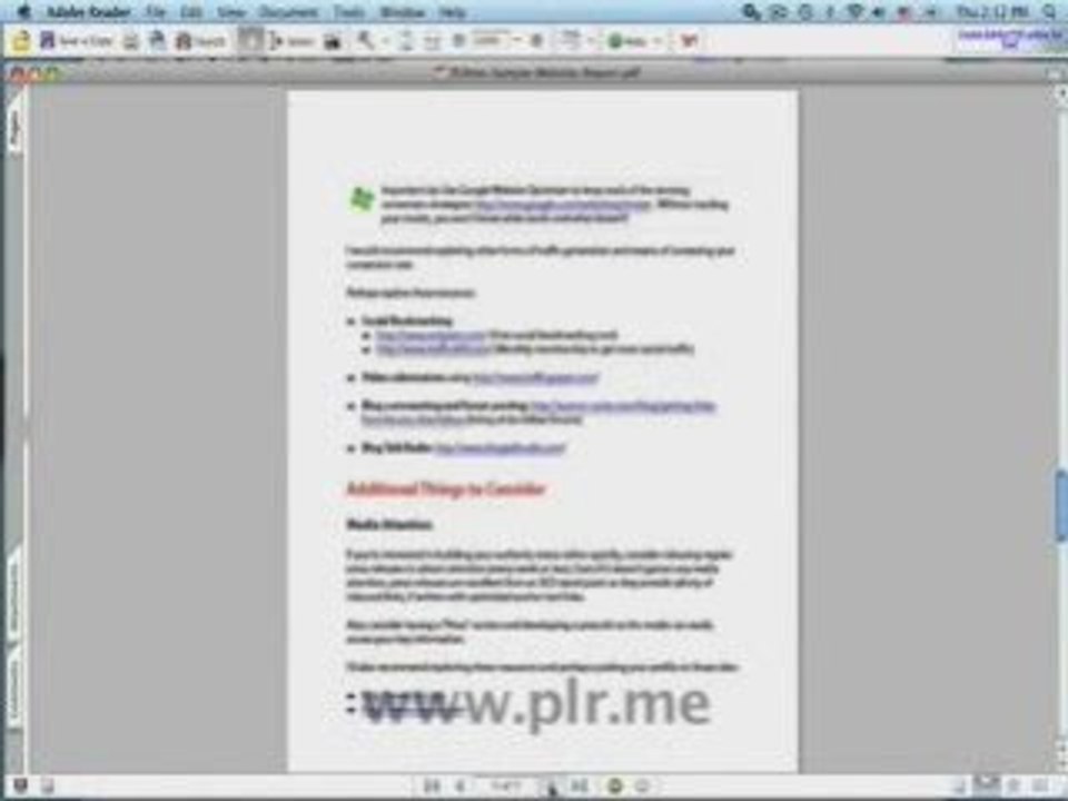 Professional Review Of Your Website at PLR.me