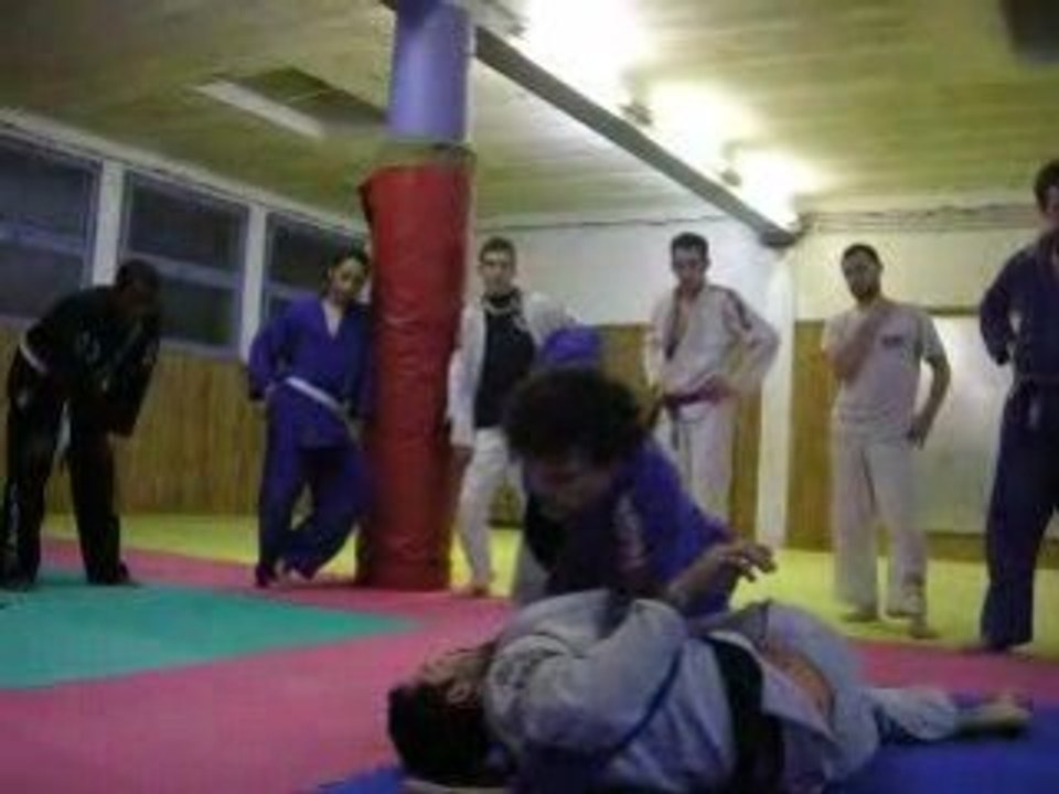 Aranha3