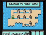 Frogsuit Mario Bros. Frog Frog Frog (Chaos Control Bonus)