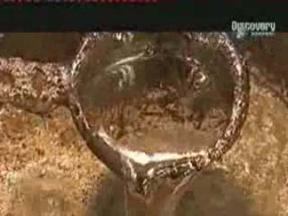 Comment s'est fait ? Les pins