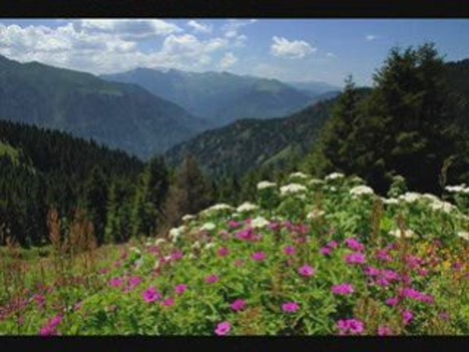 ÇAMLIHEMŞİN MANZARALARI-TULUM DİNDAR GÜNER-1-kavrun.tr.gg