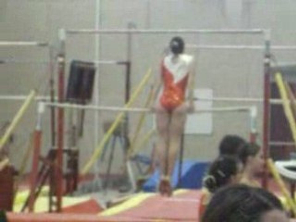 Barres Asy à Avoine 25-01-09