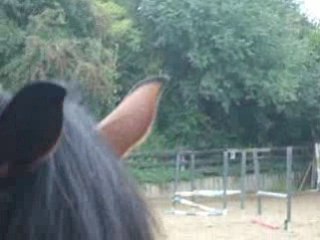 Parcours joncquière Vinnie aout 2008