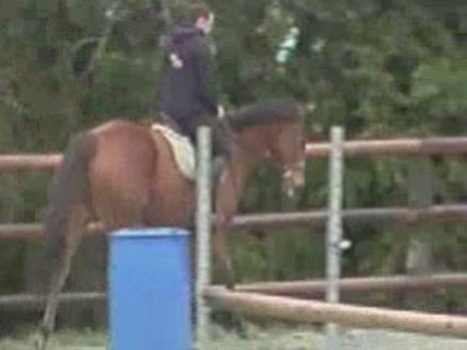 Thomas  et Lady du Menec