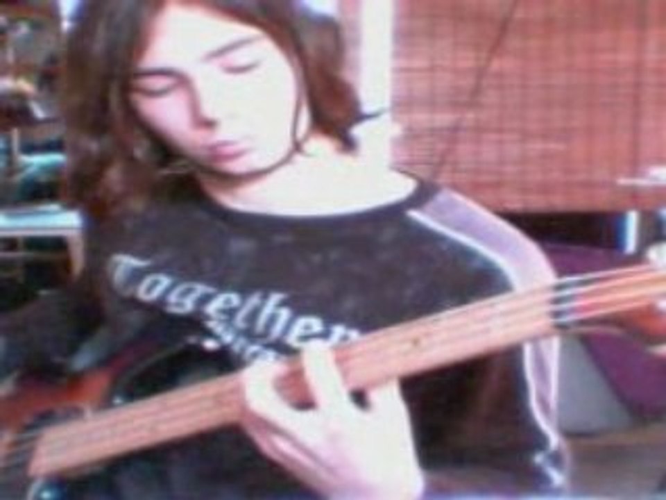 Red Hot Chili Peppers Snow (Hey oh) cover basse