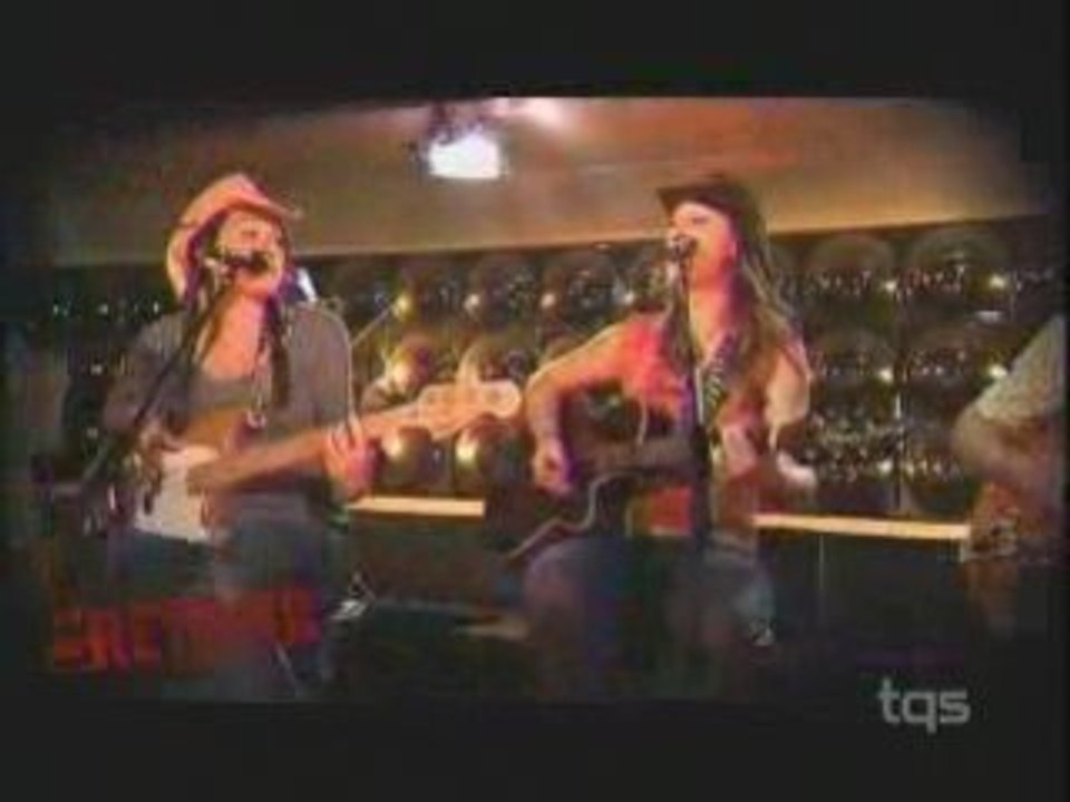 Champ de blé d'Inde - Madame Moustache