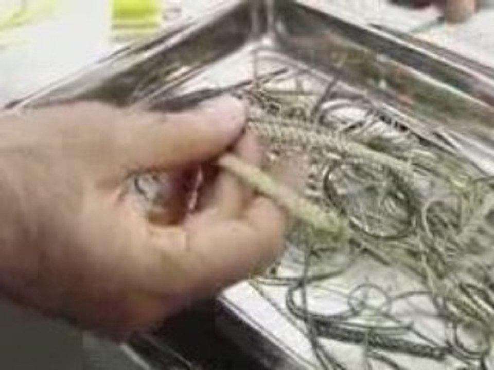 Designer - Samuel Jewels