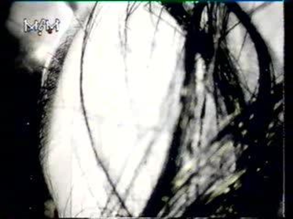 Etienne Daho - Saudade