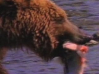 Transfert d'ombre / Shaddow transfert