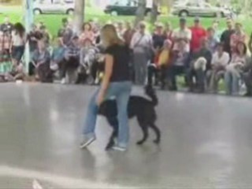 Video du forum_0001