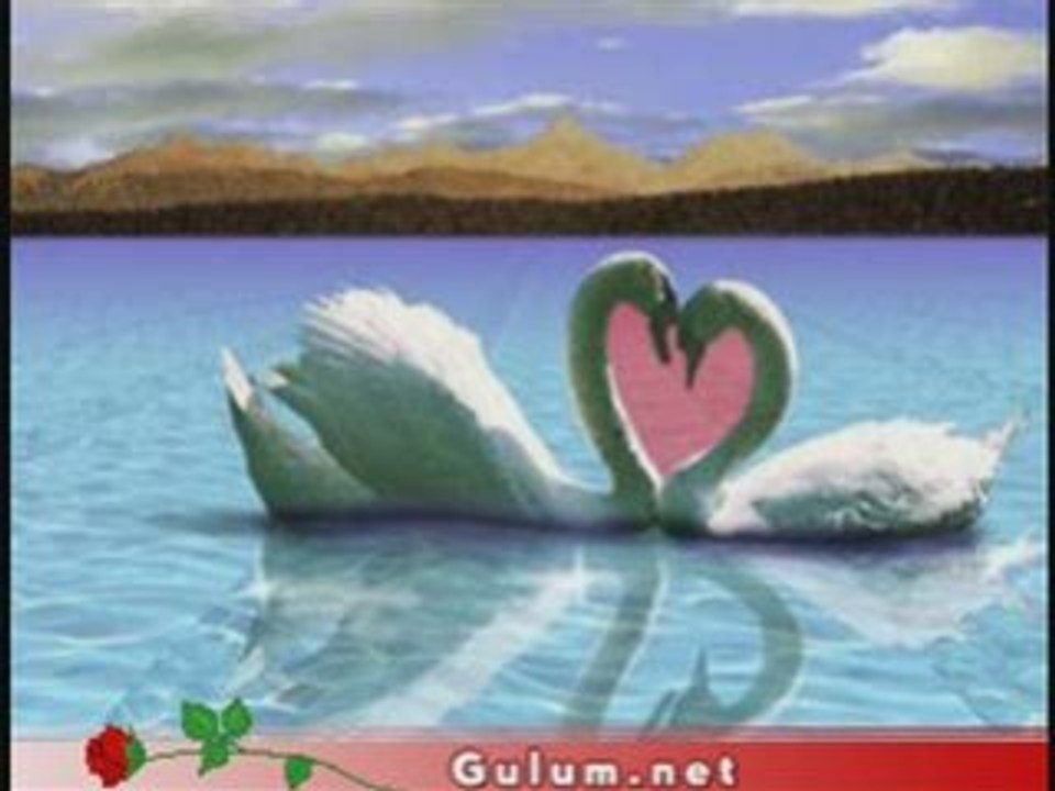 Roya - Olsun