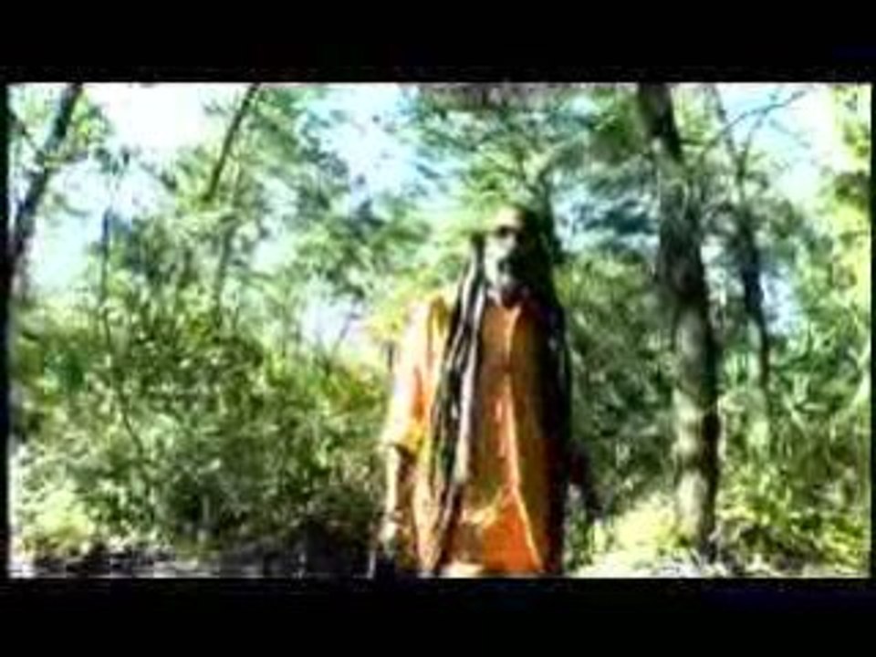 Tony Gits - Freedom Song