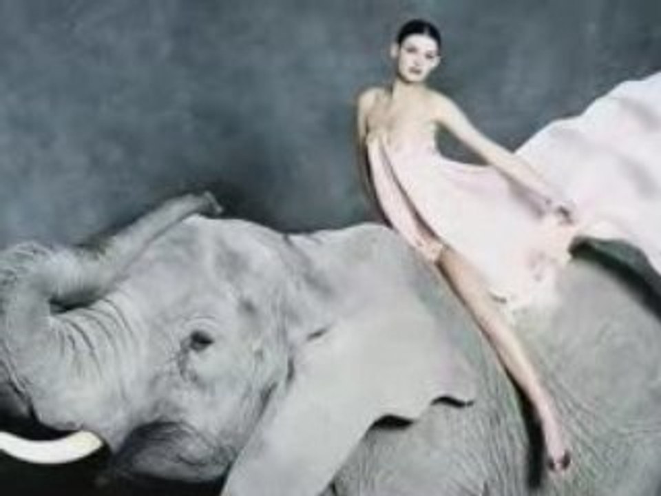 BEHIND THE SCENES / MAKING OF > Model with elephants