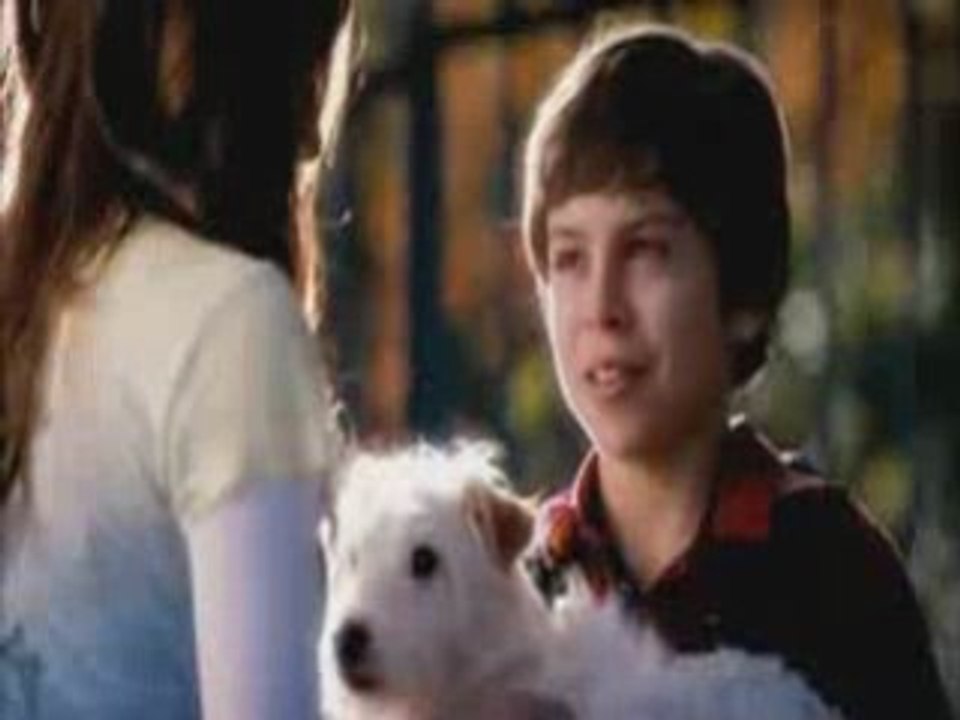 Hotel for Dogs