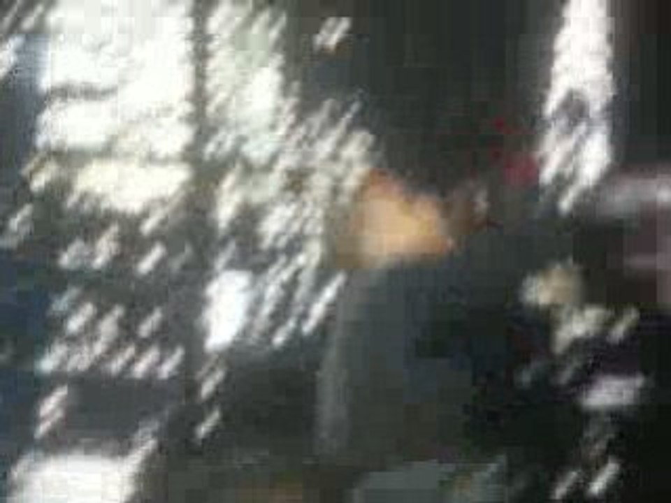 chris brown live à paris bercy