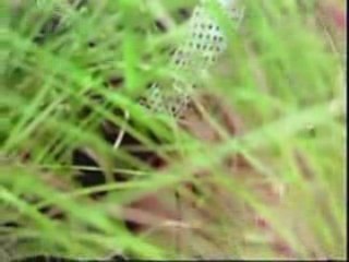 ilamai ennum poonkartu _pagalil oru iravu