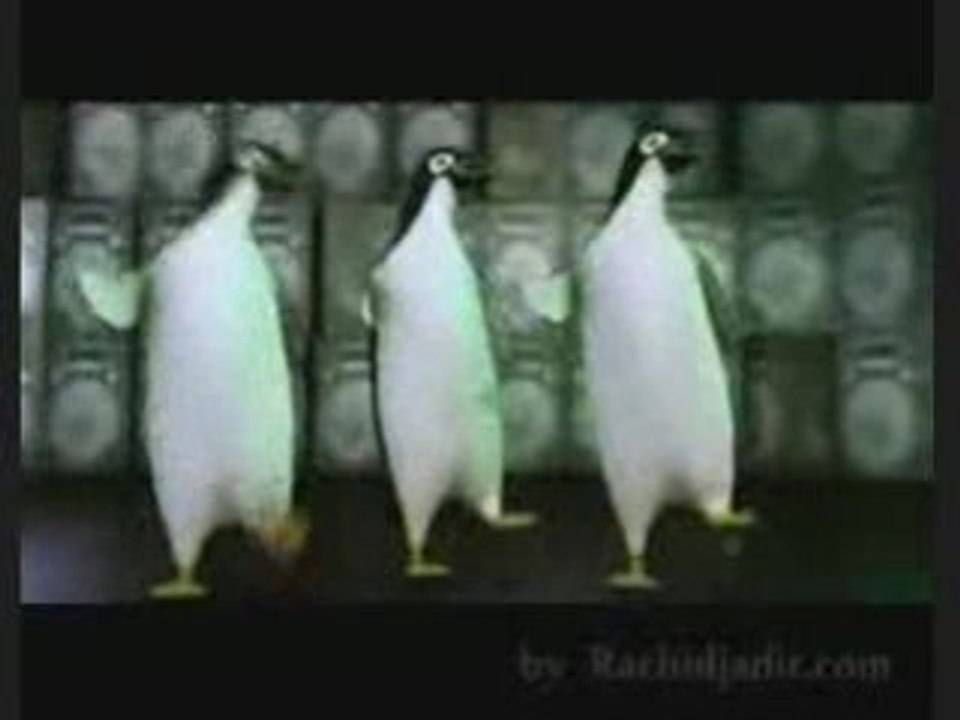 FUNKY VIDEO