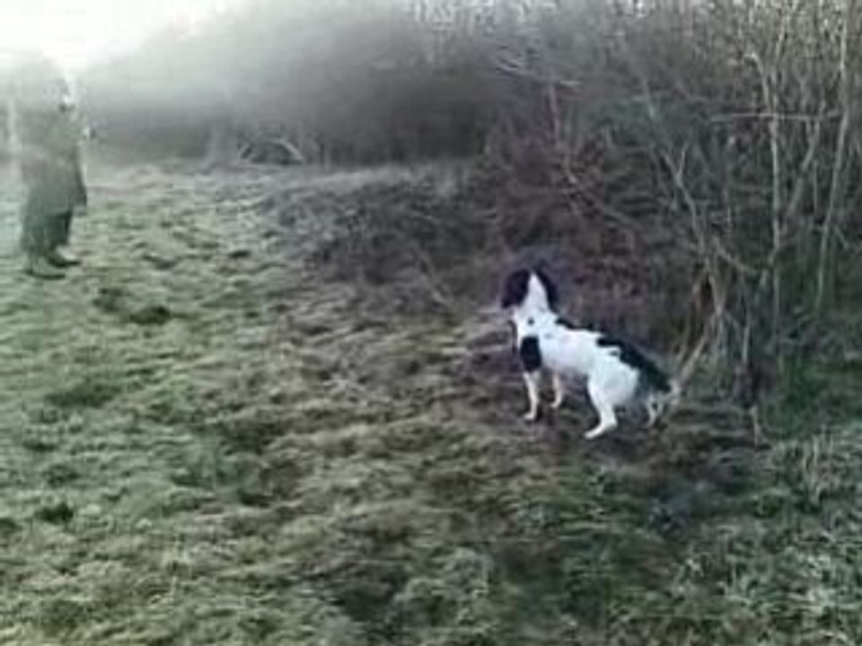 Clea des etangs de dame blanche