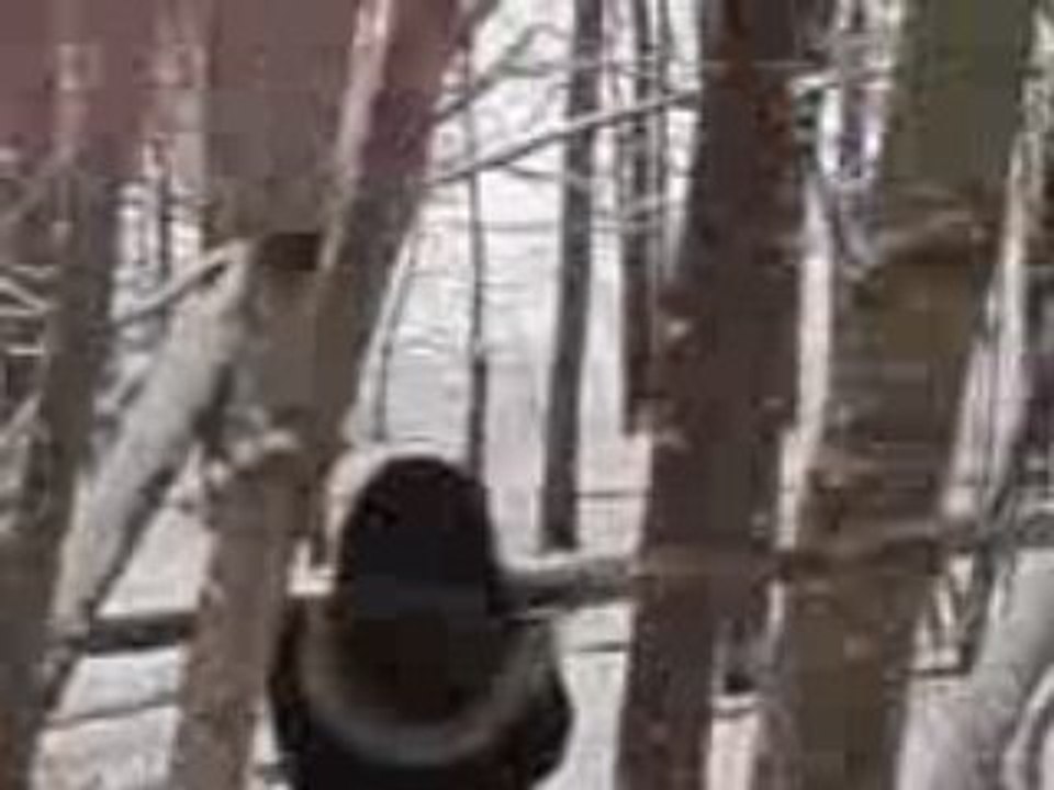MOV07099