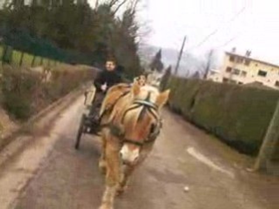 Cours d'attelage du 28 janvier 2009