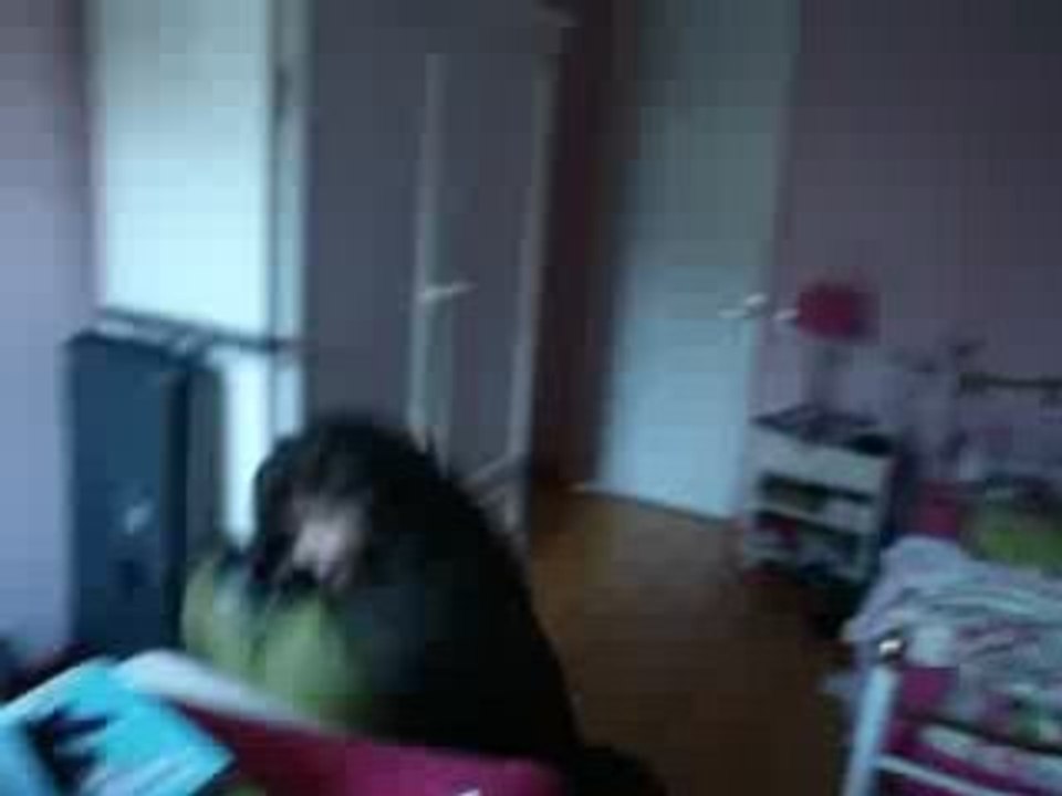 GROOS DELIRE PRODUC CAMOU  AGATOU