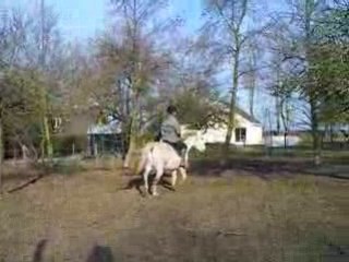 MARIO 30/01/09 étho monté