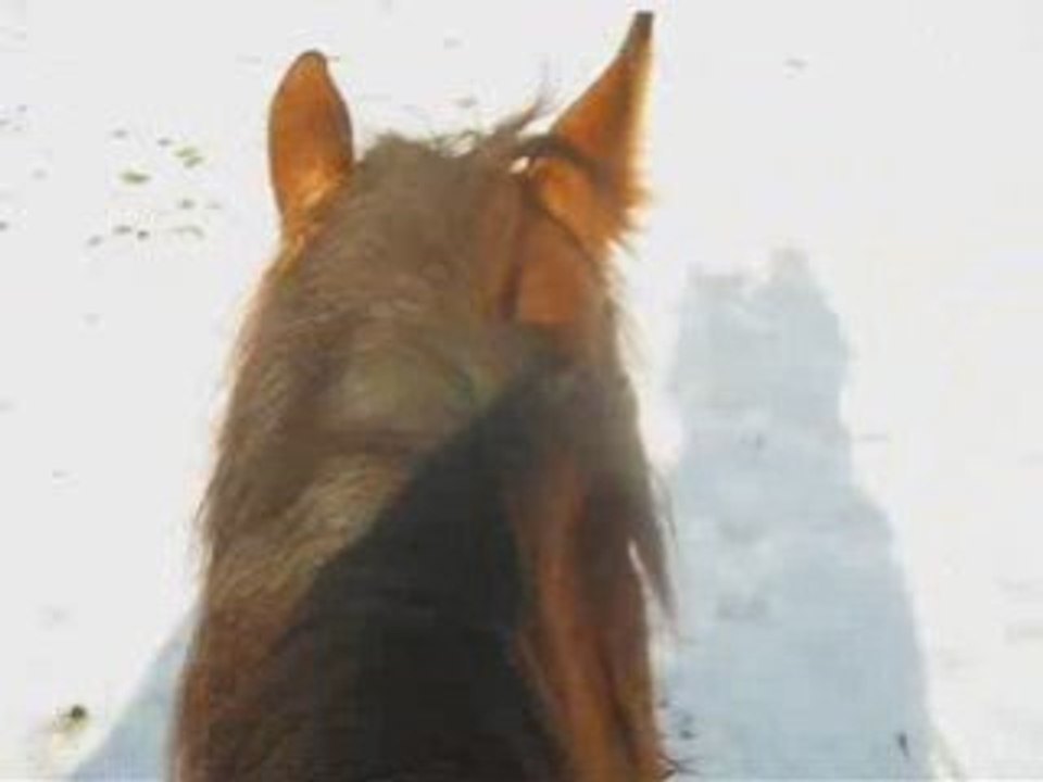 Aprem dans la neige_0003