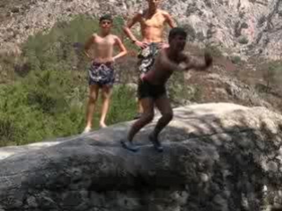 Plongeon