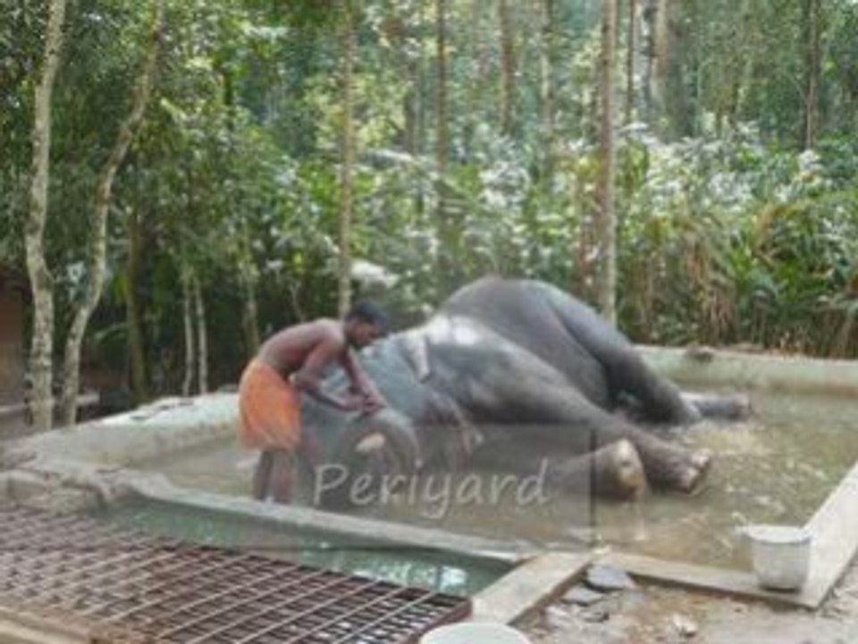 Kerala - Inde du Sud