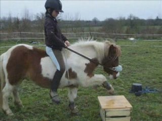 Méli-mélo-de-photo-et-vidéo